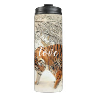 Famille Tiger