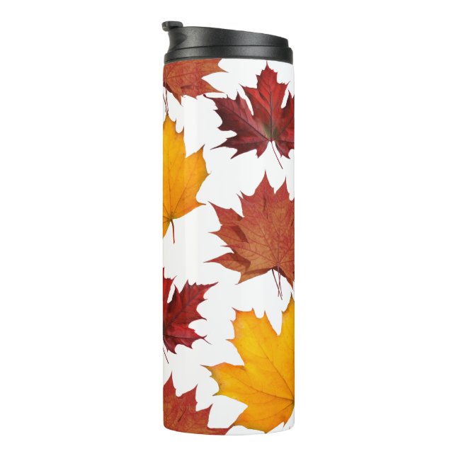 Bouteilles Isothermes Feuilles d'érable de l'automne (Tourné sur la droite)