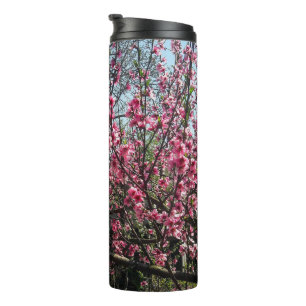 Bouteilles Isothermes Fleurs roses Paruline de printemps