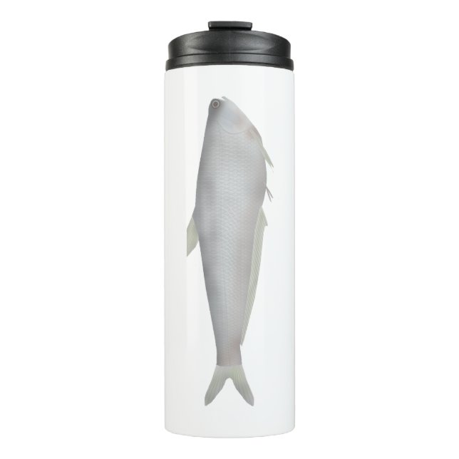 Bouteilles Isothermes Gangetic Hairfin Anchovy  (Devant)