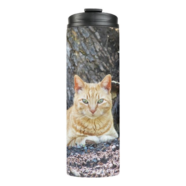 Bouteilles Isothermes Ginger Boy (Devant)