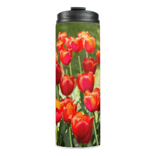 Bouteilles Isothermes Grand champ de tulipes rouges   