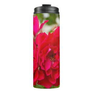 Bouteilles Isothermes Grandes roses rouges dans le jardin  