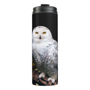 Bouteilles Isothermes Hibou blanc majestueux d'hiver
