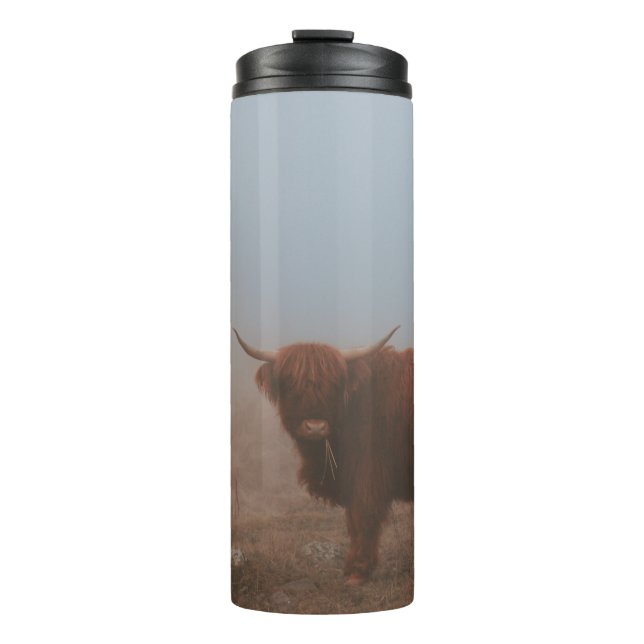 BOUTEILLES ISOTHERMES HIGHLAND CATTTTLE VW (Devant)