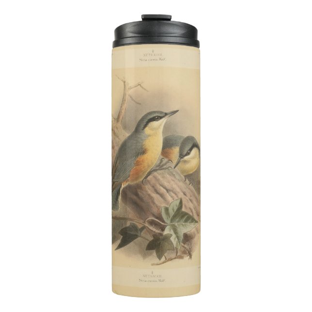Bouteilles Isothermes Illustration vintage de Nuthatch (Devant)
