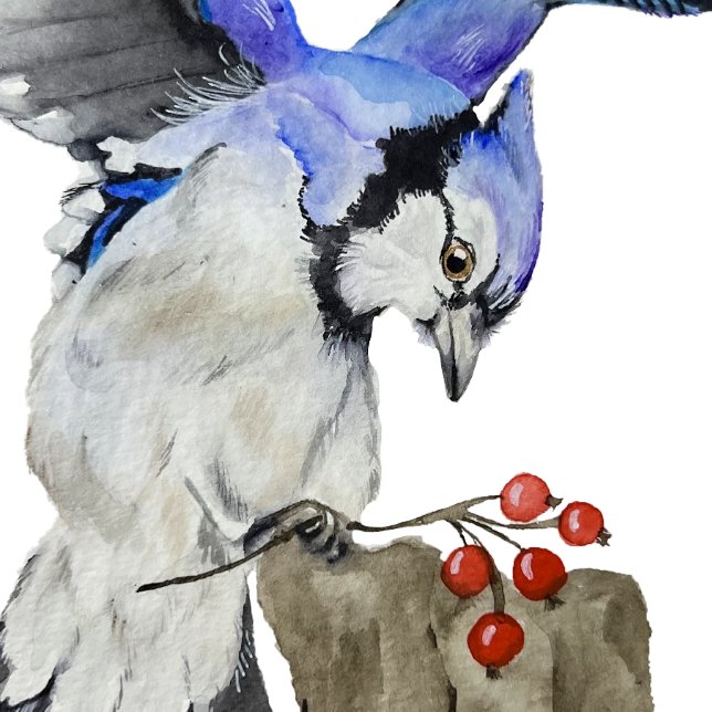 Bouteilles Isothermes Jay bleu d'oiseau de la forêt (Créateur téléchargé)