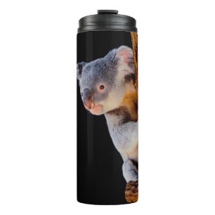 Bouteilles Isothermes Koala Cute en gris arbre