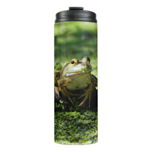 Bouteilles Isothermes La grenouille verte frappe un pot sur le tuyau