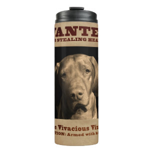 Bouteilles Isothermes Le Vizsla vivace
