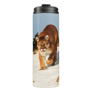 Bouteilles Isothermes Lion de montagne sur une colline enneigée