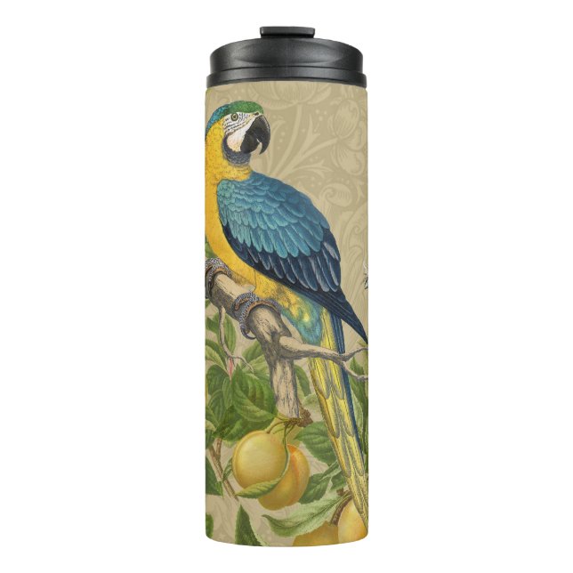 Bouteilles Isothermes Macaw Blue Jaune Tropical Jungle Antique (Devant)