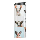 Mon chien est ma Saint Valentin | Photos de deux c