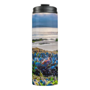 Bouteilles Isothermes Moules