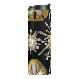 Bouteilles Isothermes Oursins Anciens Dollars de Sable par Ernst Haeckel