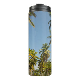 Bouteilles Isothermes Palmier à coco vert près du terrain d'herbe vert