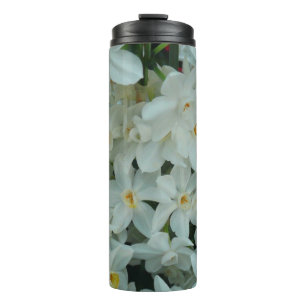 Bouteilles Isothermes Paperwhite Narcissus Fleurs blanches délicates