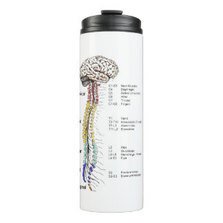 Bouteilles Isothermes Paruline thermique