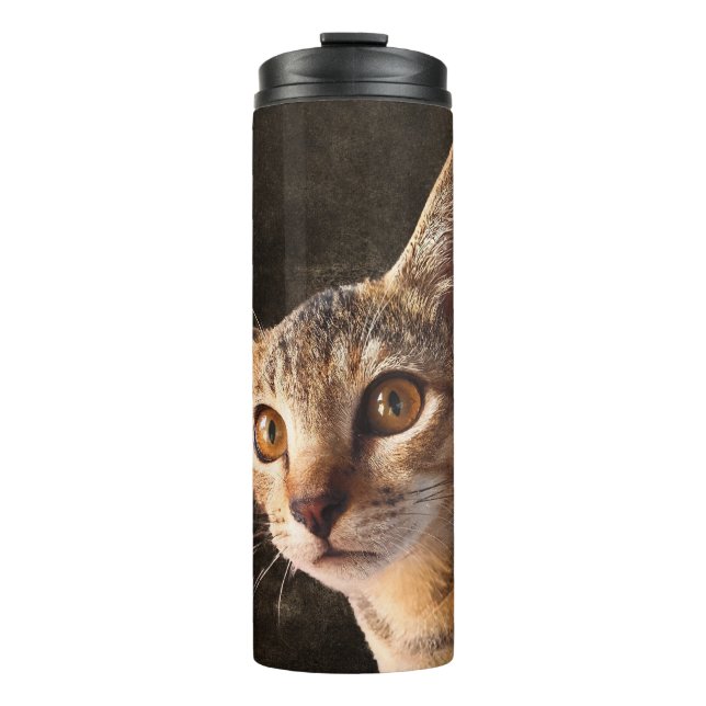Bouteilles Isothermes Personnalisé Animaux de compagnie Photo Kitten Cha (Devant)