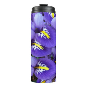 Bouteilles Isothermes Petits iris bleus Floral de printemps