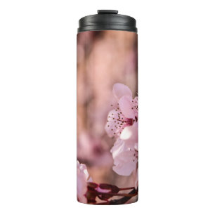 BOUTEILLES ISOTHERMES PHOTOGRAPHIE MACRO DE BLOOMOMES CHERRY ROSE BLOSOM