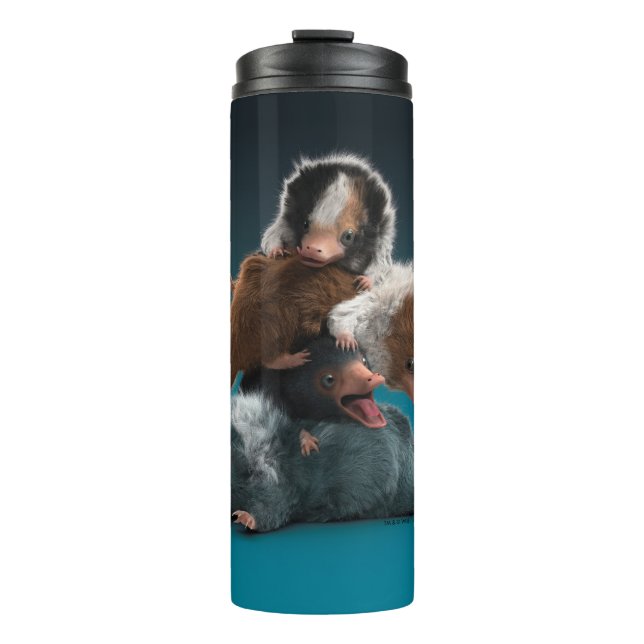 Bouteilles Isothermes Pile bébé NIFFLER™ (Devant)