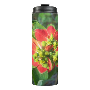 Bouteilles Isothermes Poinsettia sauvage