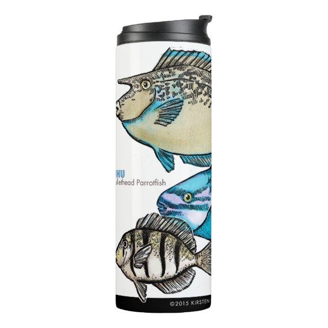Bouteilles Isothermes Poissons de récif coralien (Tourné sur la gauche)