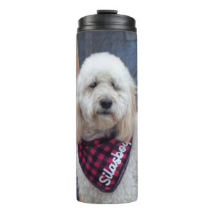 Bouteilles Isothermes Poodle