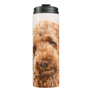 Bouteilles Isothermes Portrait de Goldendoodle Studio