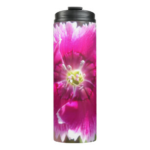 Bouteilles Isothermes Promettre