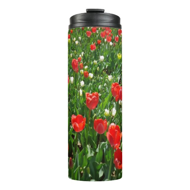 Bouteilles Isothermes Red Tulip Flower Field Nature Photographie (Devant)