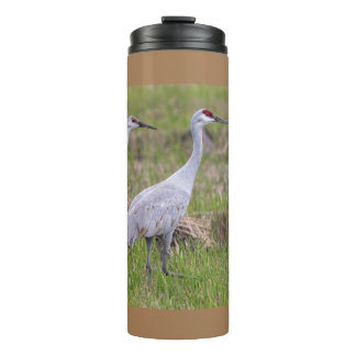 Bouteilles Isothermes Sand Hill Crane Tumbler Thermique