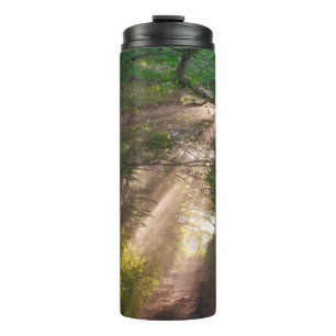 Bouteilles Isothermes sentier forestier