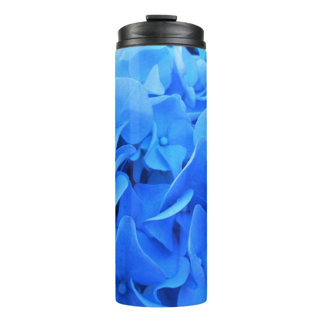 Bouteilles Isothermes Sérapine (Devant)