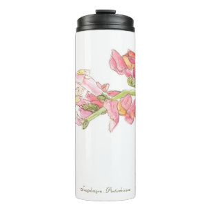 Bouteilles Isothermes Snapdragon