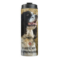 springer anglais spaniel bwlove w pic