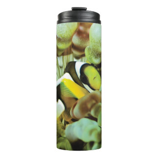 Bouteilles Isothermes Tasse thermique avec la conception de clownfish