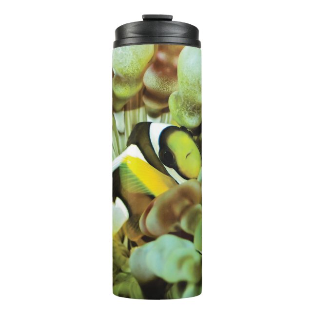 Bouteilles Isothermes Tasse thermique avec la conception de clownfish (Devant)