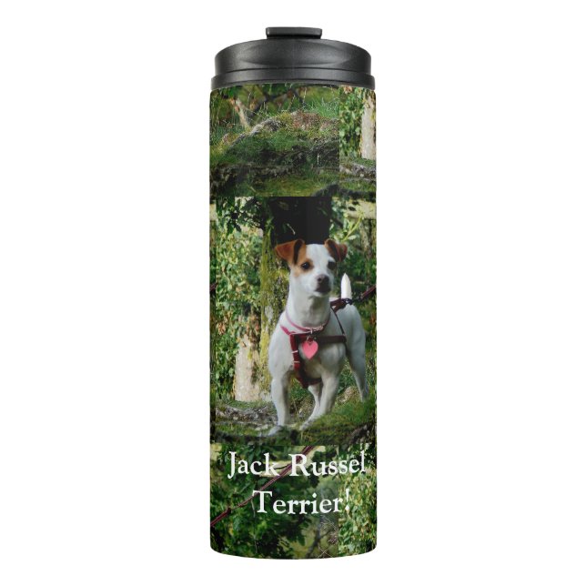 Bouteilles Isothermes Tumbler Thermal/Jack Russell terrier! (Devant)