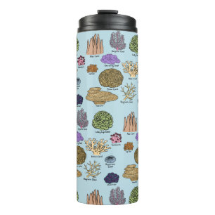 Bouteilles Isothermes Types De Corail