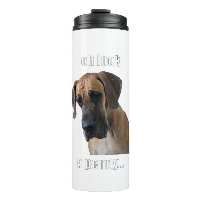 Bouteilles Isothermes Un penny... (Devant)