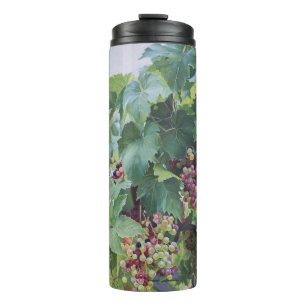 Bouteilles Isothermes Vignoble de la Vallée de la Loire – Peinture de Ra