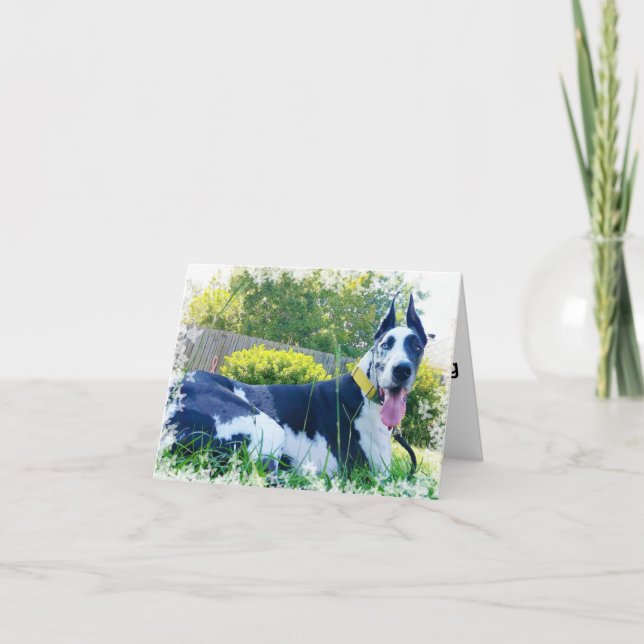 Bouteur la carte de voeux de chien de thérapie (Devant)
