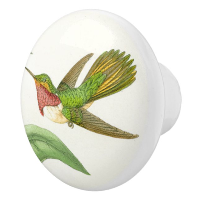 Bouton animal de faune d'oiseau de colibri (Droite)