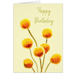 Bouton Billy jaune fleur australienne originaire