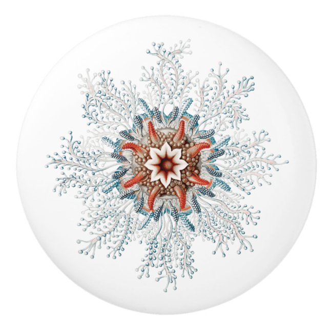 Bouton bleu mer créature (Devant)