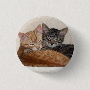 Bouton Cute Tabby Kittens / Badge