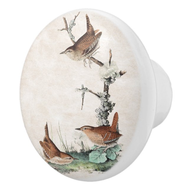 Bouton d'animaux de faune d'oiseaux de roitelet (Droite)