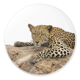 Bouton de céramique Leopard, à droite (Tirer pour 